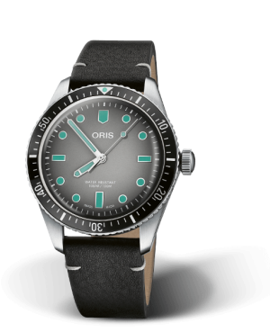Divers Sixty five Grå 40mm Rem