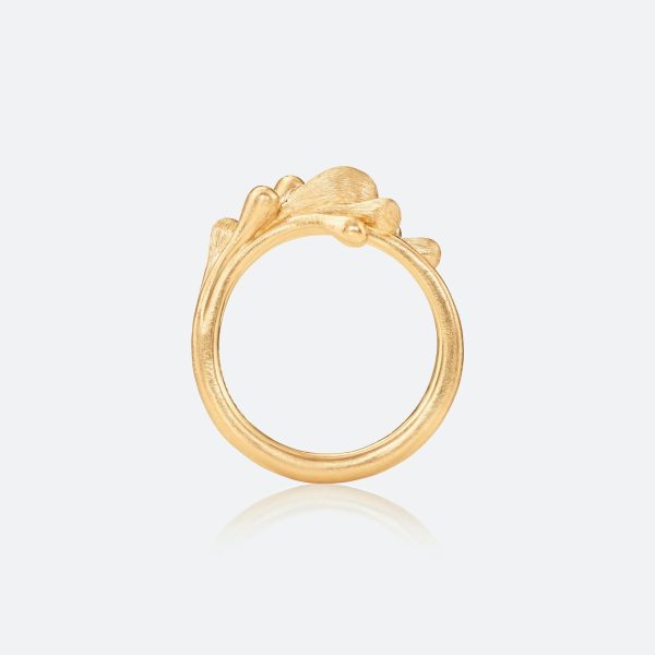 BoHo ring gull - Bilde 3