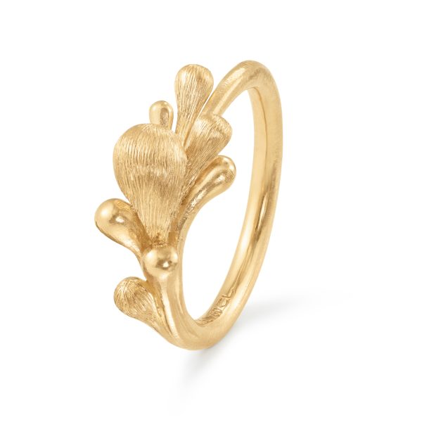 BoHo ring gull