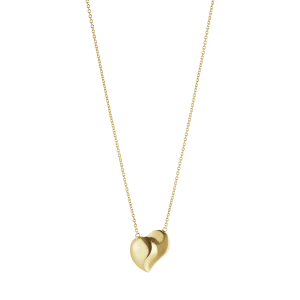 Heart 2023 gull