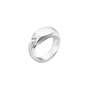 Reflect signet ring