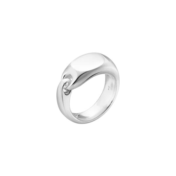 Reflect signet ring