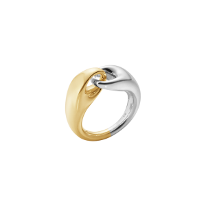 Reflect Link ring, Stor