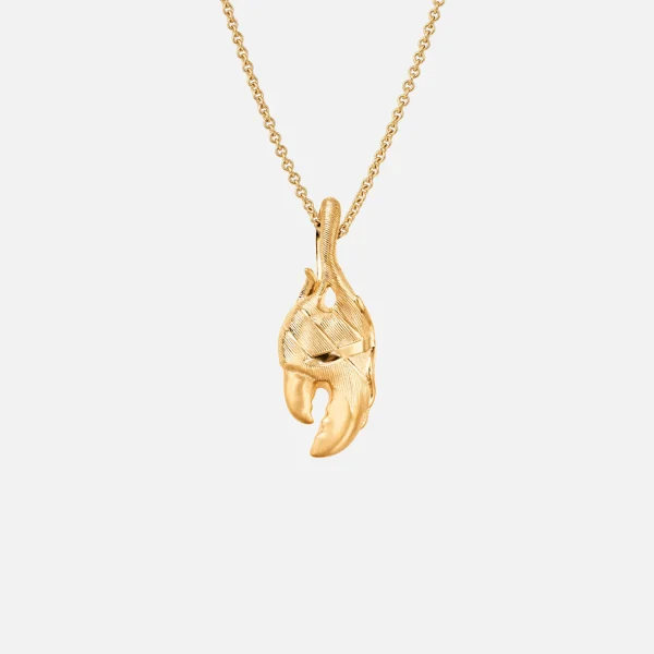 Claw anheng stor - Bilde 2