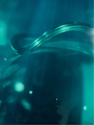 Under the Sea