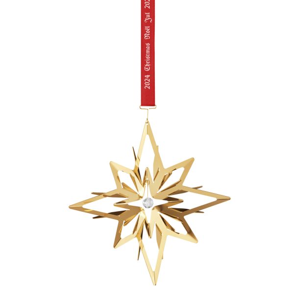 CC 2024 Juleuro Gull
