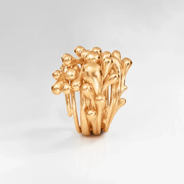 BoHo Cluster ring - Bilde 4