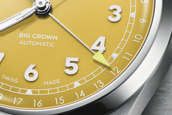 Big Crown Pointer Date Gul - Bilde 7