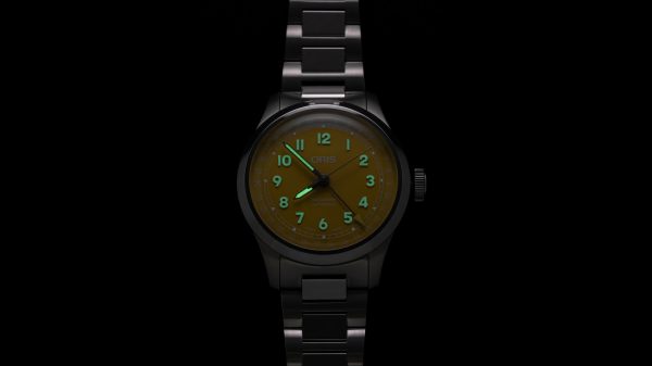 Big Crown Pointer Date Gul - Bilde 11