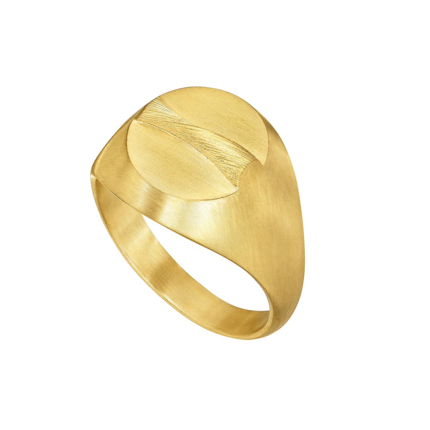 Relief Ring gull