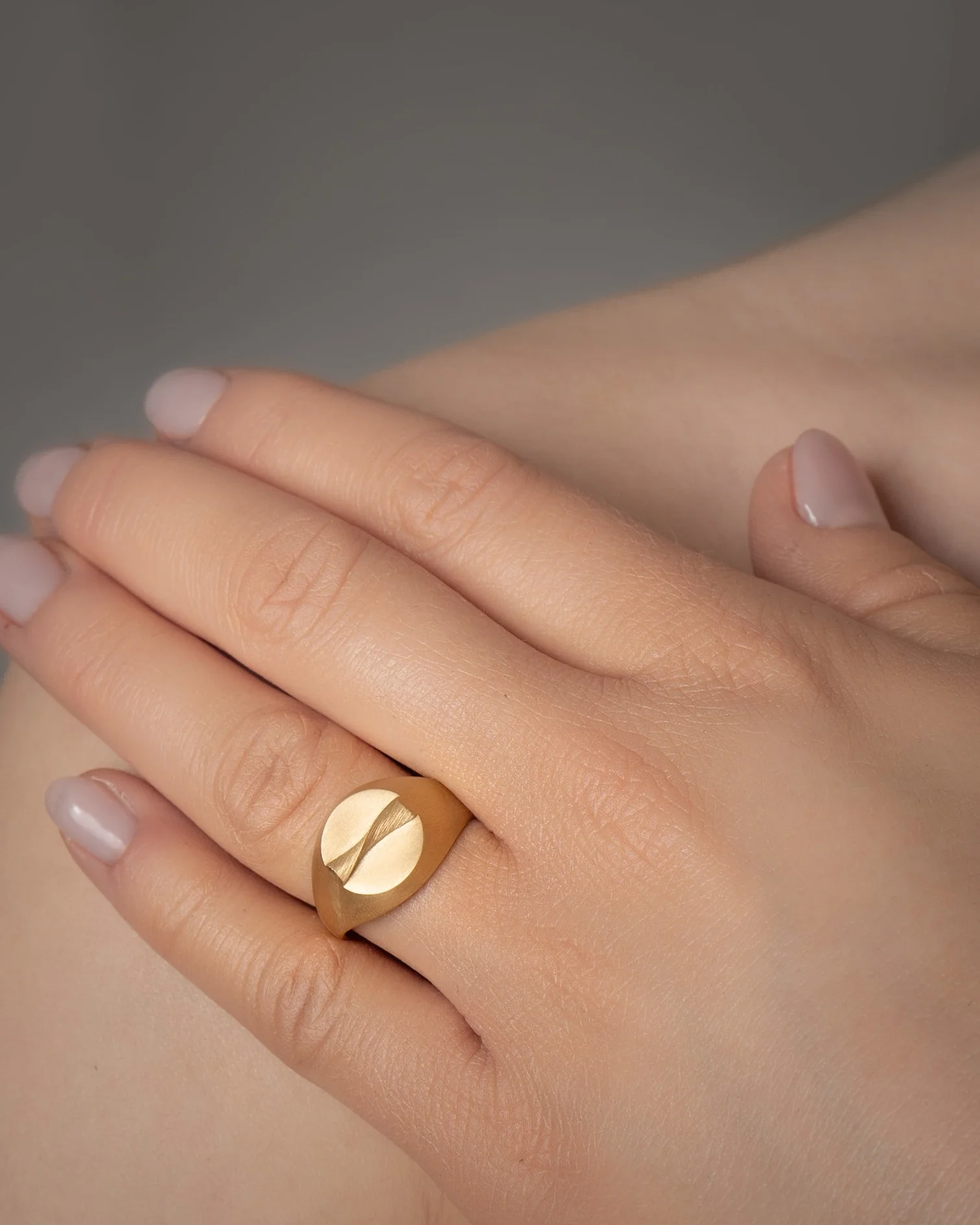 Relief Ring gull - Bilde 2